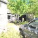 Illustration for article titled The Oppo Garage and future 505 homestead
